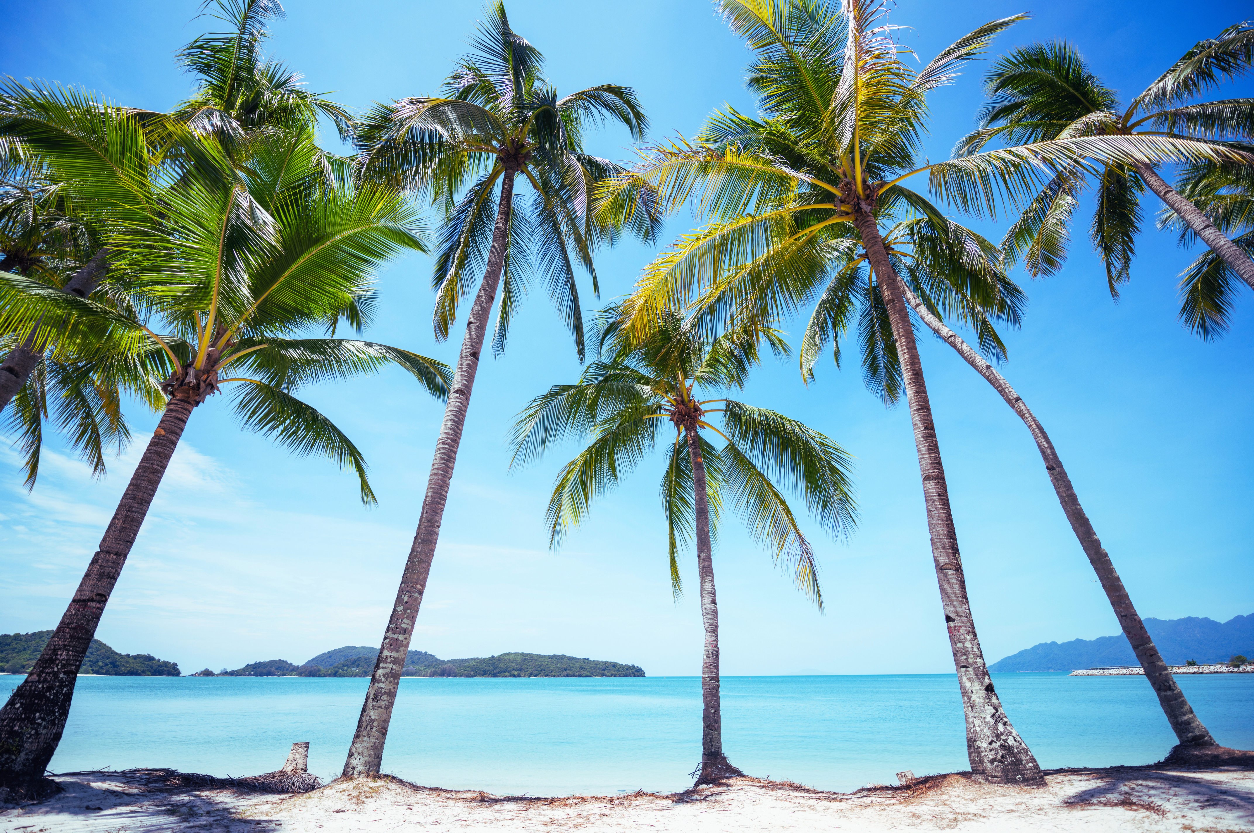 A tropical Malaysian beach